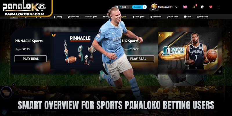 Smart overview for Sports PANALOKO betting users